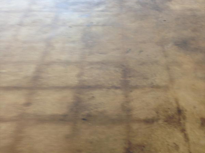 Pic 8 B